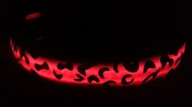LED Dog Collar Light Up, Black & White. See Your Dog and Keep Them Safe At Night, Stylish, Durable, Light-weight, Flexible, Adjustable with Flashing or Steady Lights, Size: small (10" - 16")