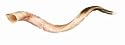 Yemenite Shofar (25-28 inches)
