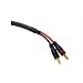 Cables to Go 29176 Velocity 12 AWG Speaker Cable, Blue (10 Feet/3.04 Meters)