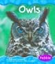 Owls (Pebble Books)