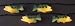 Rivers Edge 10-Piece Bass Party Light Set
