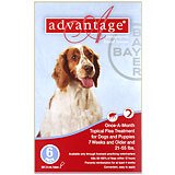 Advantage 6pk Dog Red 21-55 Lbs