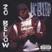 20 Below
