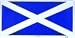Scotland St Andrews Cross Flag License Plate Image