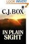 In Plain Sight (Center Point Platinum Mystery (Large Print))