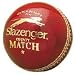 Sporting Goods : Slazenger County Match Cricket Ball