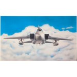 1/48 PANAVIA TORNADO F3/EF3