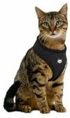 One Size Cat Mesh Body Harness