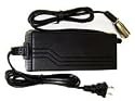 1.5 amp 24 Volt Electric Scooter Charger - Currie Tech