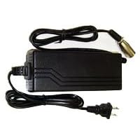 Tempest Direct 1.5 Amp 24 Volt Electric Scooter Charger with XLR connector - Currie Tech
