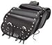 Automotive : Slanted Motorcycle Saddlebags with studs and concho SD4036