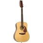 JB Player 12-string Acoustic Guitar