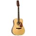 JB Player 12-string Acoustic Guitar