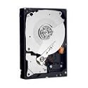 Western Digital Caviar Black 500GB (7200rpm) SATA 32MB Hard Disk Drive (Internal) (WD5001AALS)