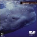 Echoes of Sea(3) Cmʐ^ ̉fIs [C̔e҃}bRENW [DVD]