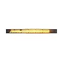 StreetTags STZ-DS-76 Scrolling Message Electronic LED 2 Line Window Sign with Gold Display H 4,8 Inc