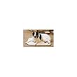 PetSafe Large Heated Pet Pad (1-65 pounds) PetSafe Large Heated Pet Pad (1-65 pounds)
