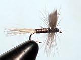 Blue Quill Size: 18