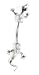 14k Adorable Cubic Zirconia CZ Lizard Belly Ring