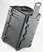Pelican Protector Case 1660 - Carrying case - black