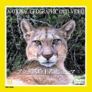 アンデスの王者 ピューマ