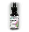 Bilberry Extract No Alcohol 50mg - 1 oz - Liquid