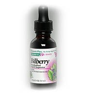Bilberry Extract No Alcohol 50mg - 1 oz - Liquid
