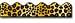 BORDER LEOPARD PRINT SCALLOPED