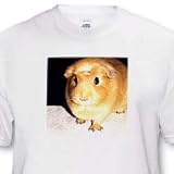 Guinea Pig - Guinea Pig - T-Shirts