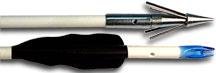 Buy CAJUN ARCHERY LIL' STINGER IV FISHING ARROW by CAJUN ARCHERY INC
