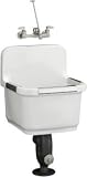 KOHLER K-6652-0 Sudbury Service Sink, White