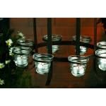 Eight Light Garden Chandelier