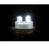 Box of 10 Acolyte Submersible Floralyte II with 2 Superbright LED Lights-On Sale Now!