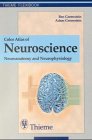 Color Atlas of Neuroscience: Neuroanatomy and Neurophysiology (Thieme Flexibook)