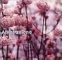 Arkestra One