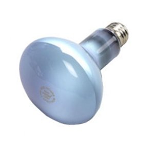 75 Watt - R30 - Neodymium Reflector Flood - 120 Volt - 5000 Life Hours - Medium Base -... by Halco