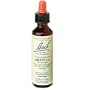 Bach Flower Essences Flower Essence Heather
