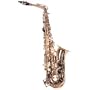 Lauren Beginner Alto Saxophone Outfit