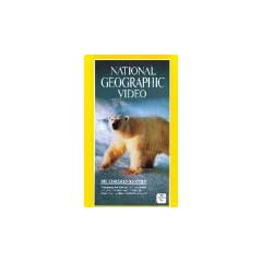 National Geographic Video - Die Eisb�ren kommen [VHS]