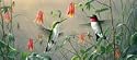 Hummingbird Colombines rear window graphic