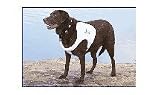 TEXAS RECREATION SUPER SOFT VINYL COATED DOGGIE VESTSSize: 3XL 31''-35''