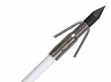 Muzzy Bow Fishing Arrow with Point
