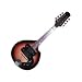 2563 Electric Mandolin Image