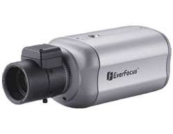price Everfocus EQ300E
