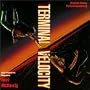 Terminal Velocity (1994 Film)