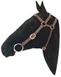 Toowoomba Extended Barcoo Bridle