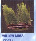 PP312 WILLOW MOSS PLANT 6