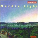 Nordic Light by Michael Peterson