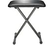 Casio Portable Keyboard Bench (Pbench)