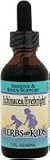 Echinacea/Eyebright Blend ( 2 FL Oz ) ( Alcohol-Free ) Herbs For Kids